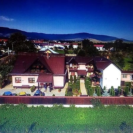 Pensiunea Denisa Sacalusesti Buitenkant foto