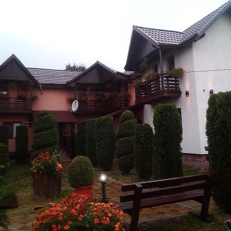Pensiunea Denisa Sacalusesti Buitenkant foto