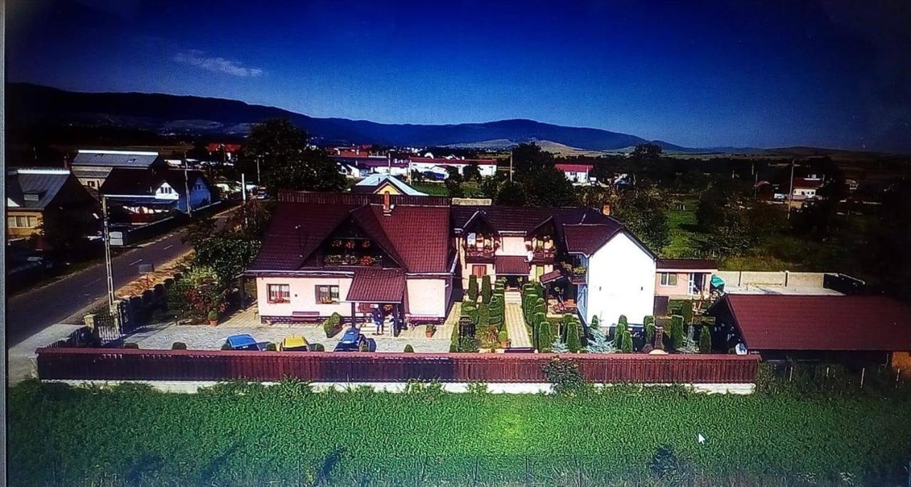 Pensiunea Denisa Sacalusesti Buitenkant foto