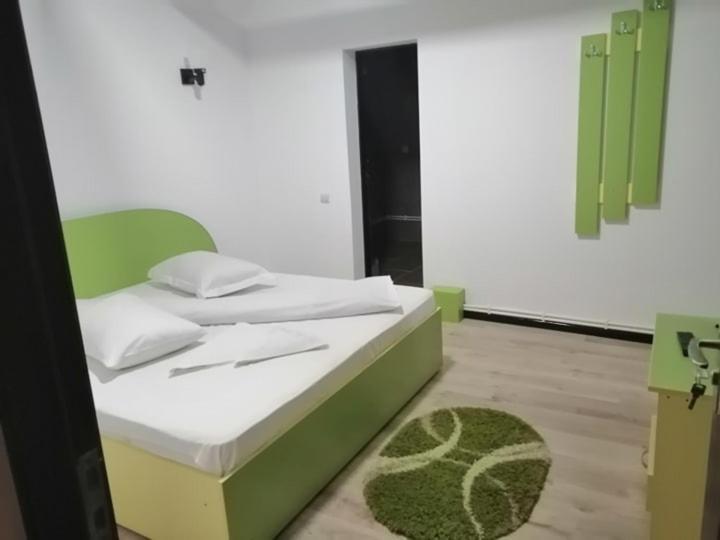 Pensiunea Denisa Sacalusesti Buitenkant foto
