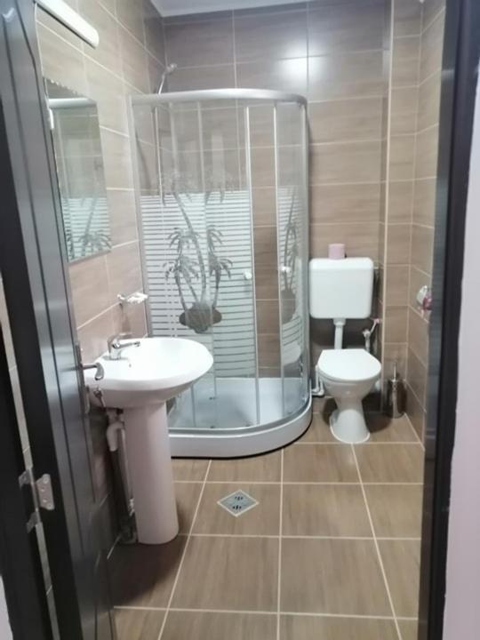 Pensiunea Denisa Sacalusesti Buitenkant foto